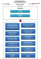 UMR_OZ_Study_Studienorganigram_250702