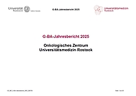 OZ_INF_G-BA-Jahresbericht_2025_260730
